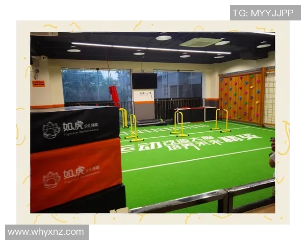 儿童体育锻炼项目加盟助力孩子健康成长与全面发展新选择